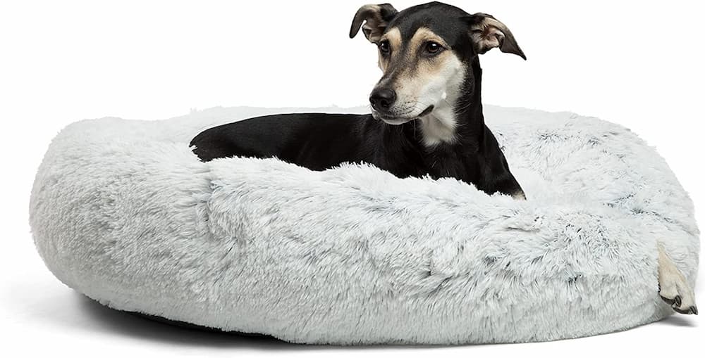 dog donut beds