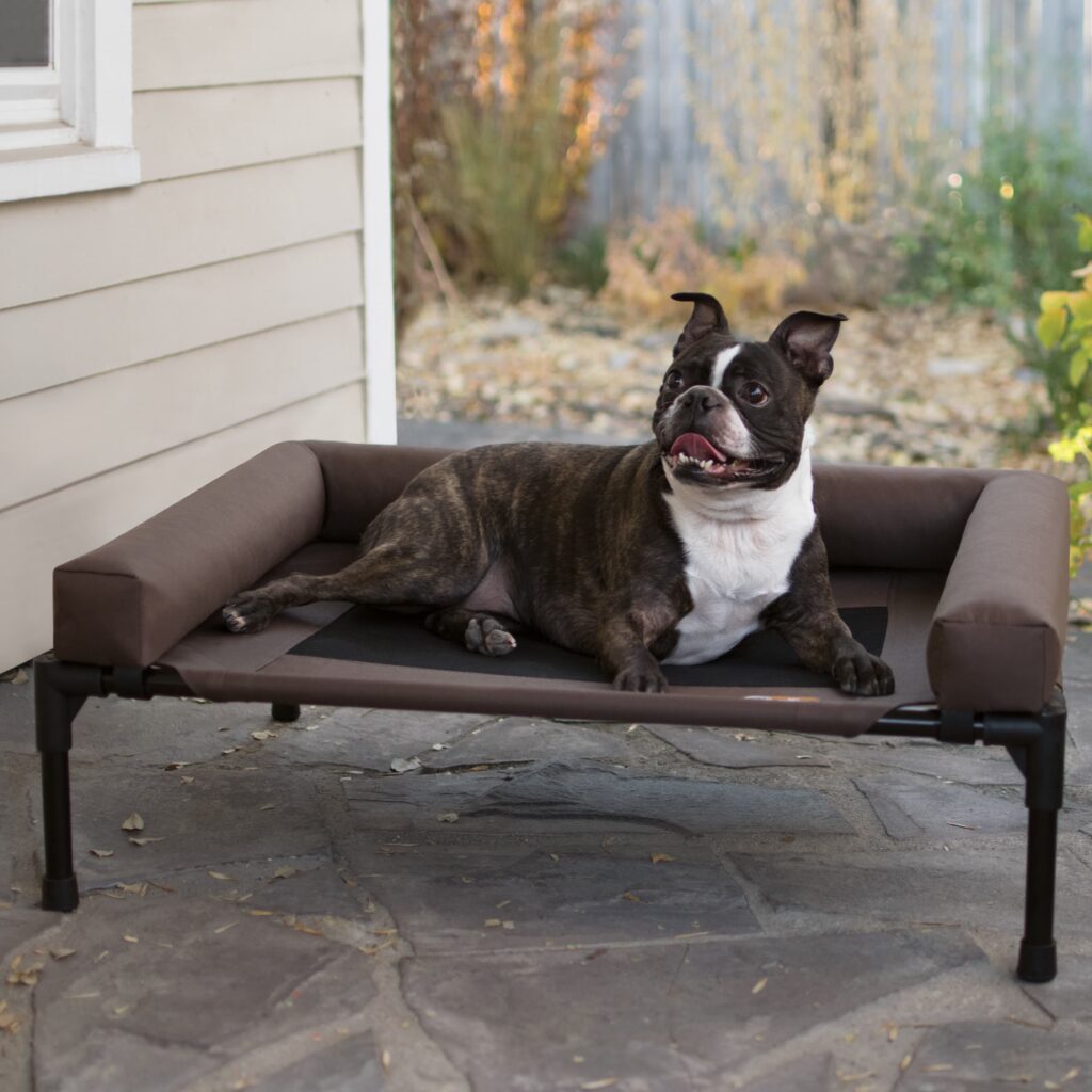 dog on comfy outdoor dog bed
