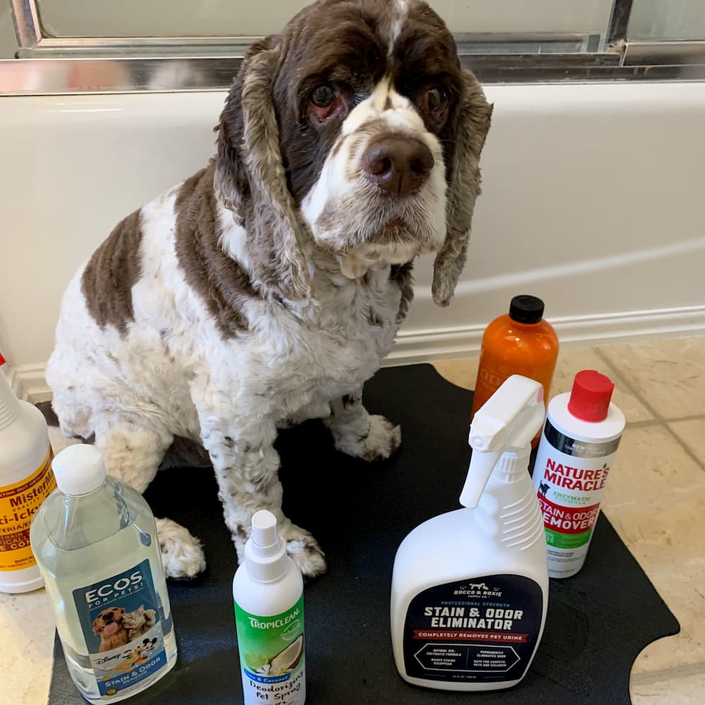 Dog surrounded by pet odor eliminators