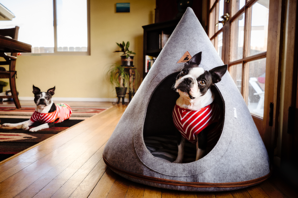 Dog Teepee Beds: 7 Cool Canine Hangouts