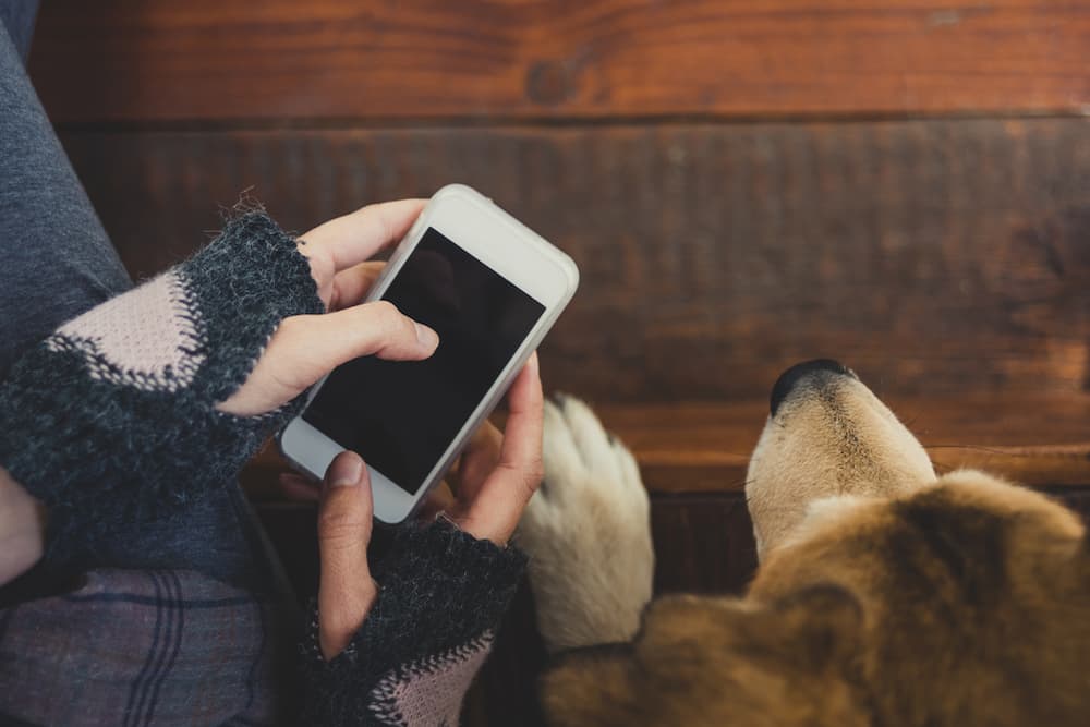 Girl sitting while on her phone next to her dog