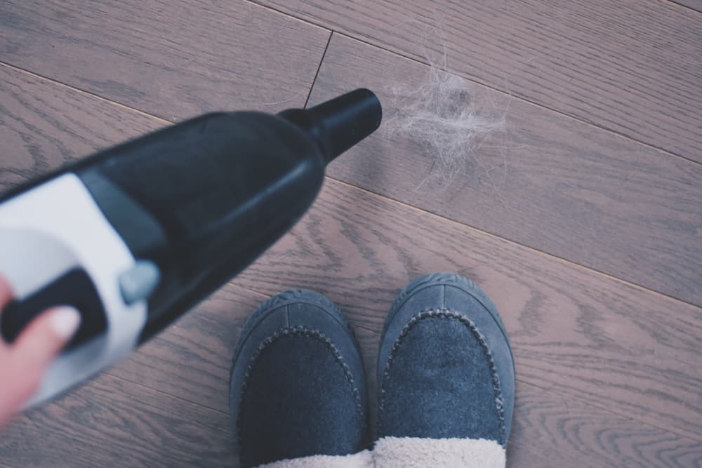 Woman vacuuming up pet hair from the ground