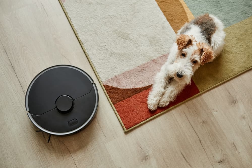 Robot vacuum next to dog on cute rug