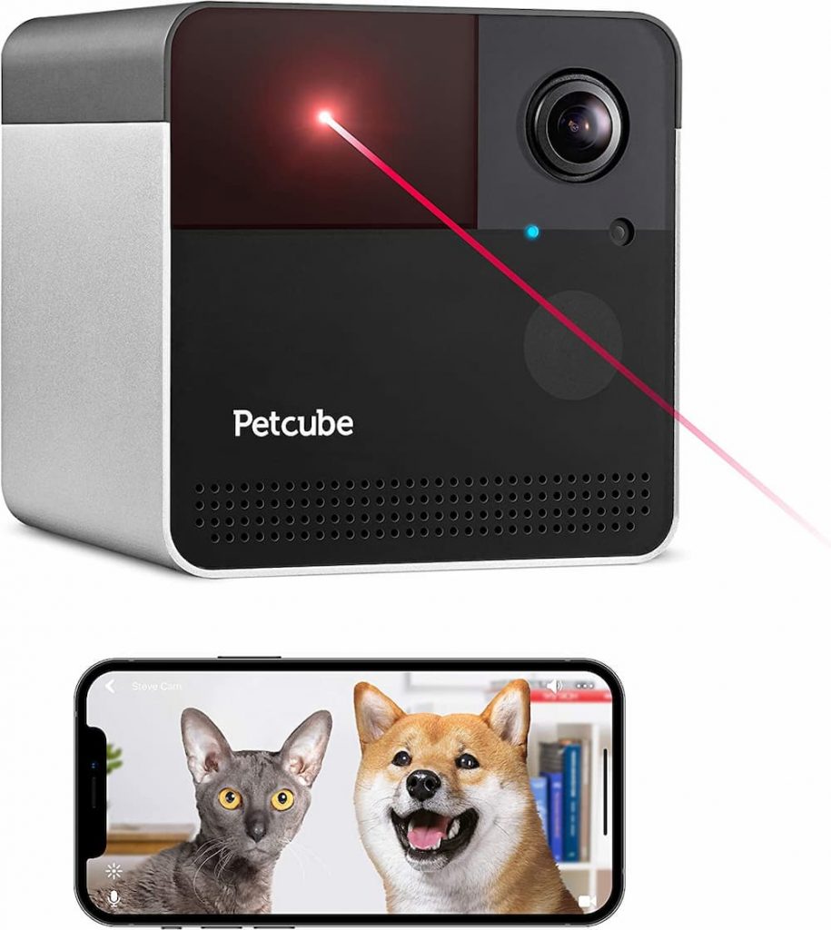 petcube for cats