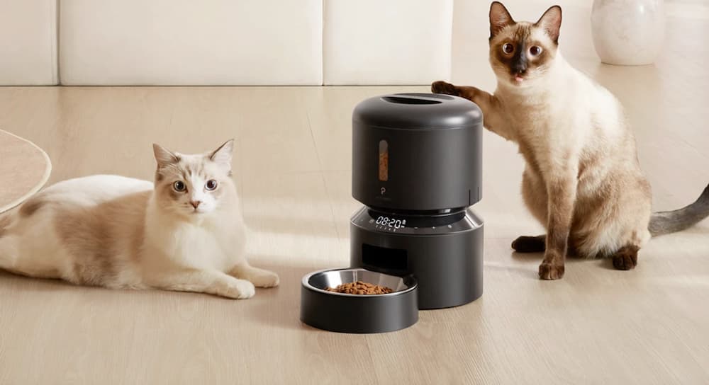 Petlibro Automatic Cat Feeder Review: A Peek at the Perks
