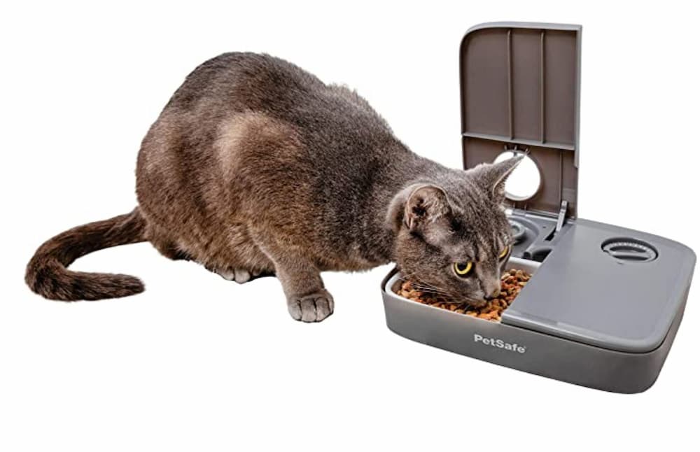 PetSafe Automatic 2 Meal Pet Feeder for Cats and Dogs