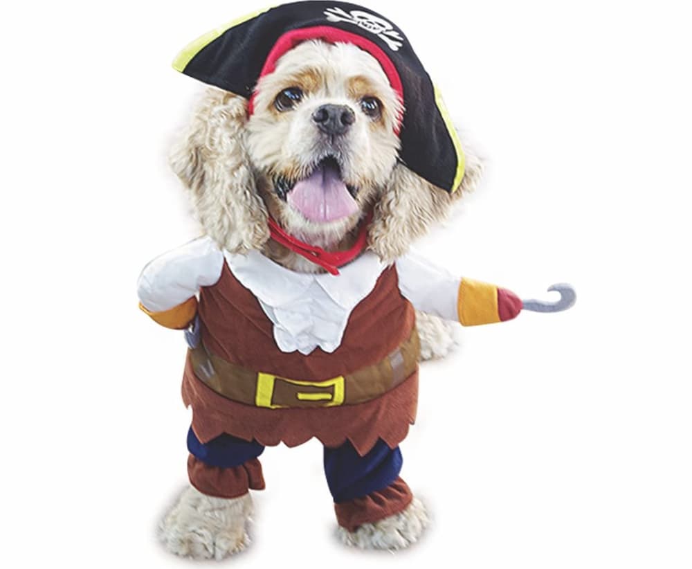 Pirate dog costume