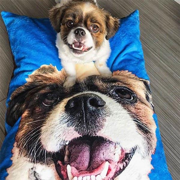 20 Best Custom Pet Gifts: Gifts for Pet Lovers, Dog gifts, Cat gifts