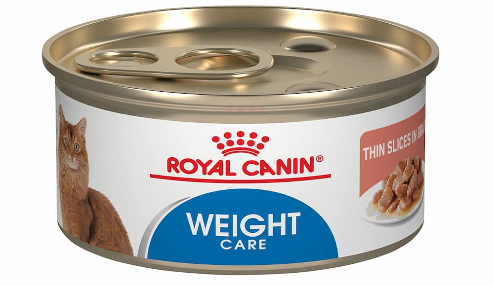 Royal Canin Weight Care for cats