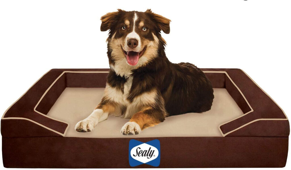 sealy orthopedic dog bed