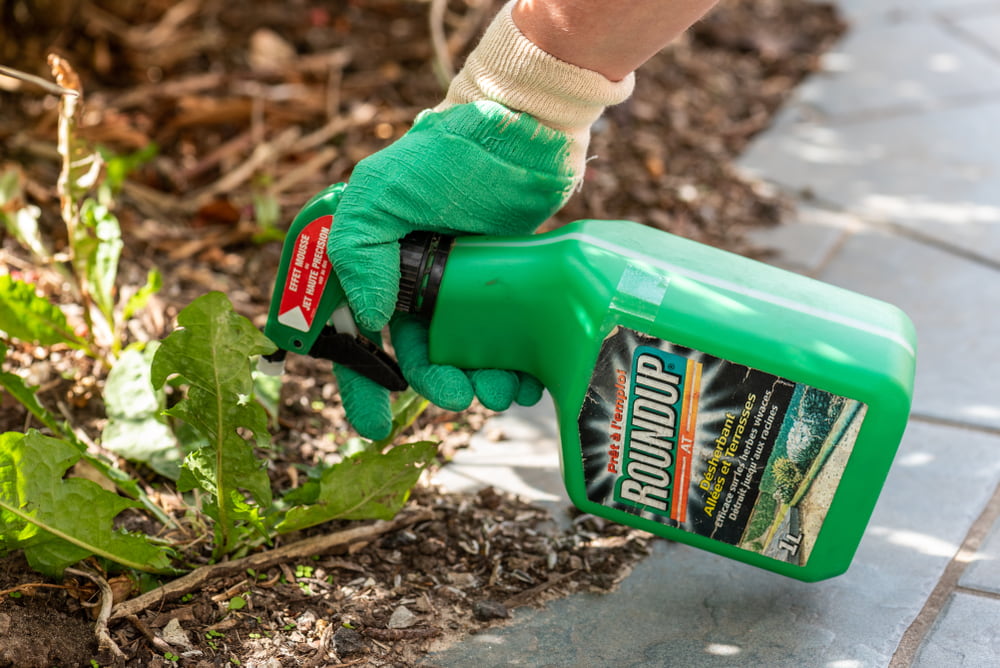 Roundup weed killer