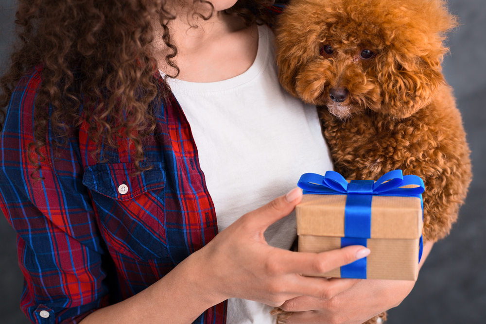 10 Best Gifts for Dog Lovers