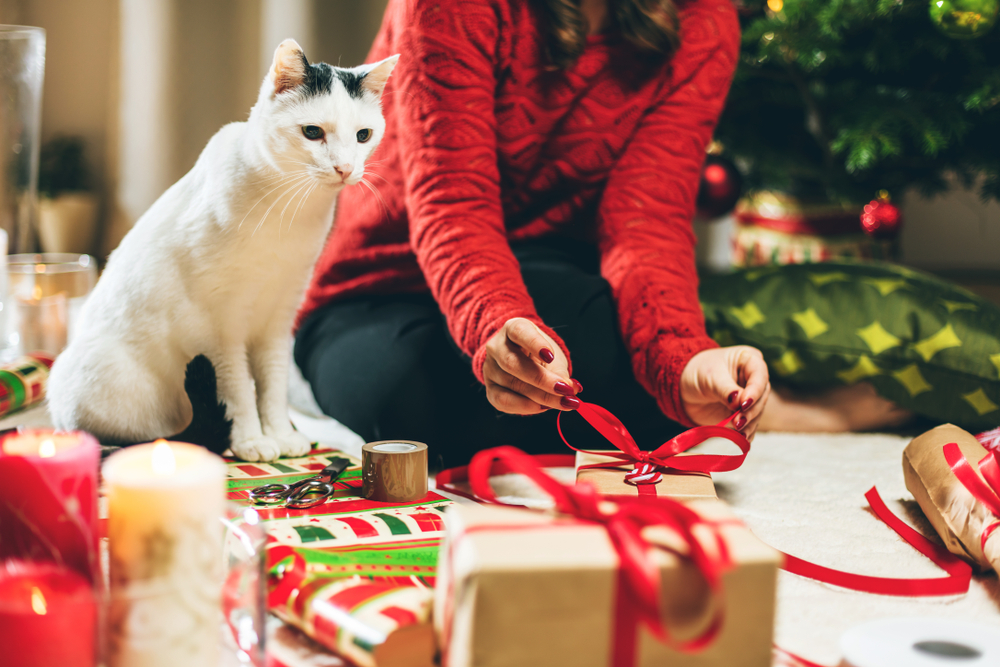 11 Best Cat Lovers' Gifts for Giving in 2024