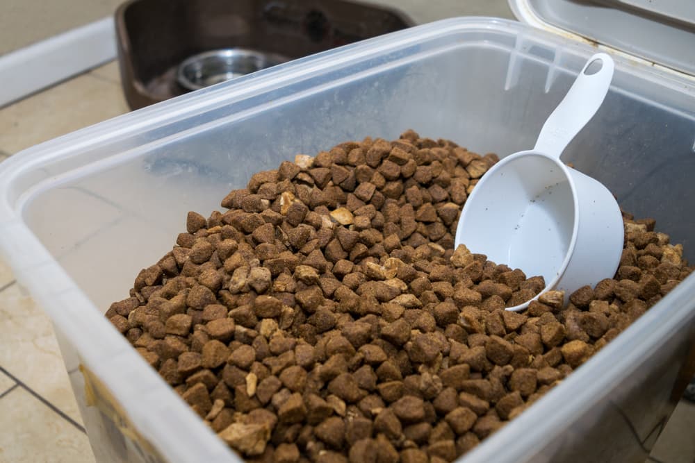 Dog food in container