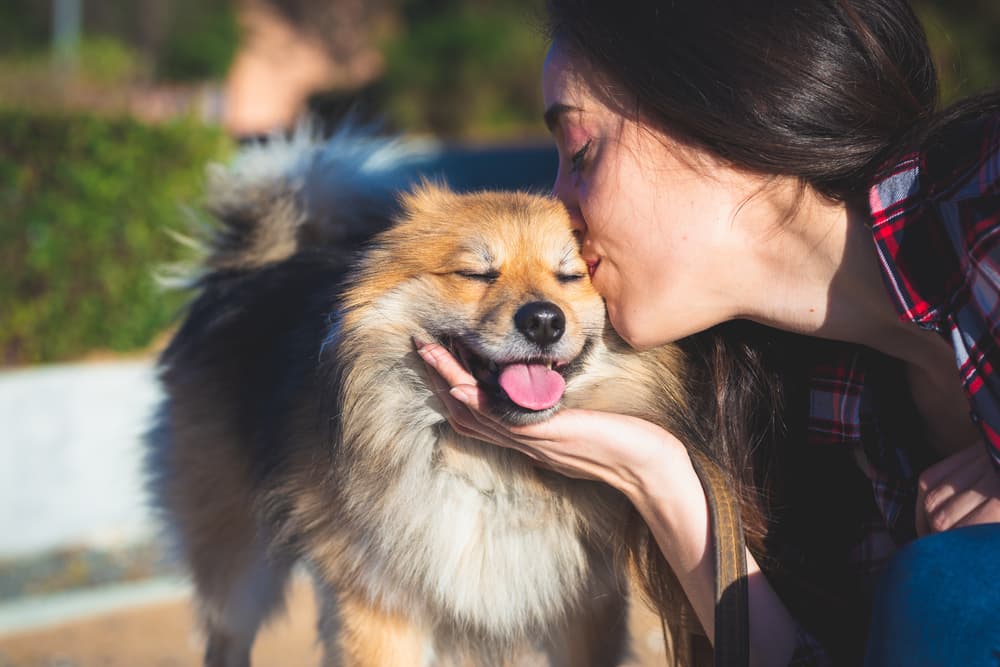 Lady with her dog giving dog a kiss waiting for dog dna tests results