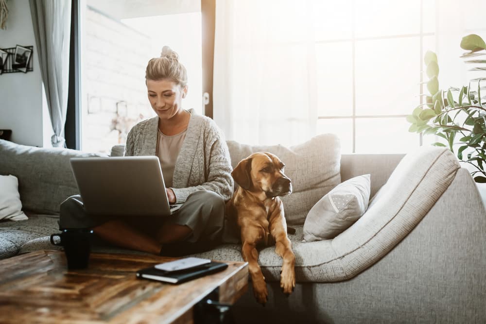 Woman shopping for dog beds online