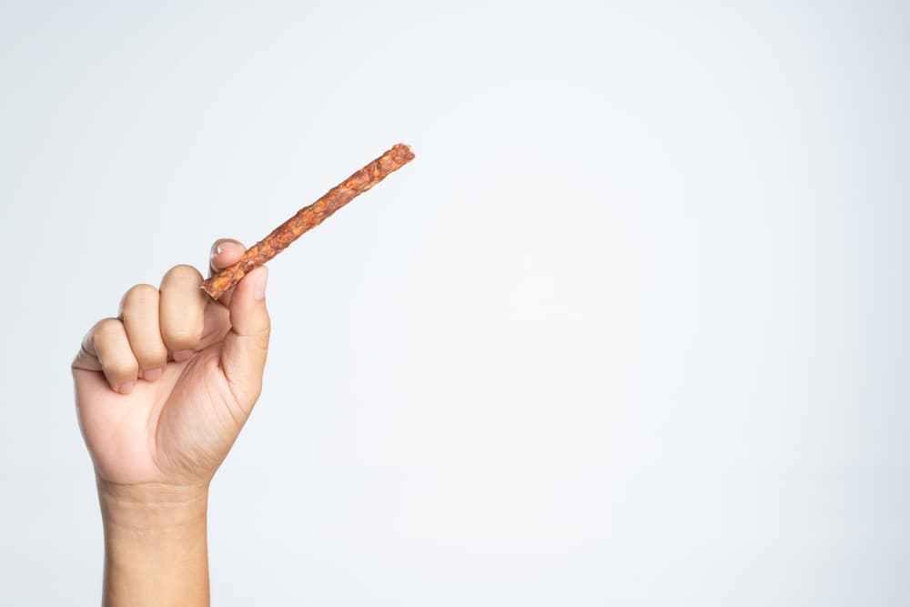 A hand holding up a dehydrated dog treat