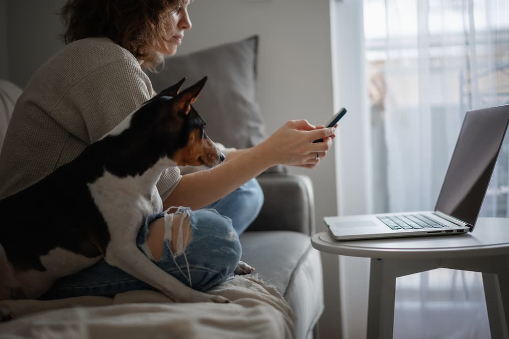 Woman sitting at her couch with her laptop, smartphone and dog