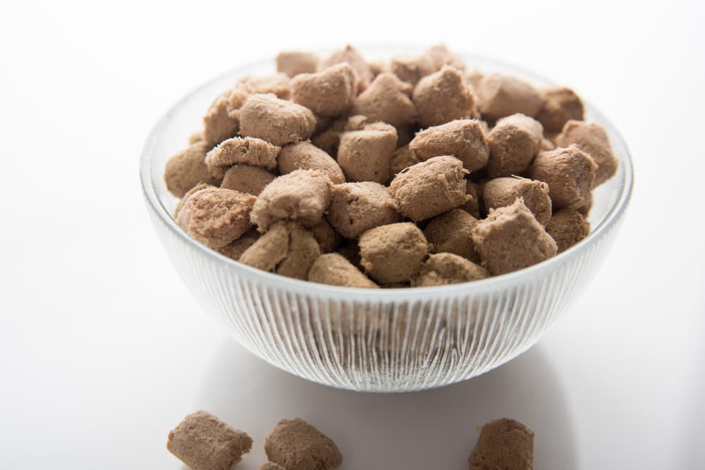 Bowl of freeze-dried cat food