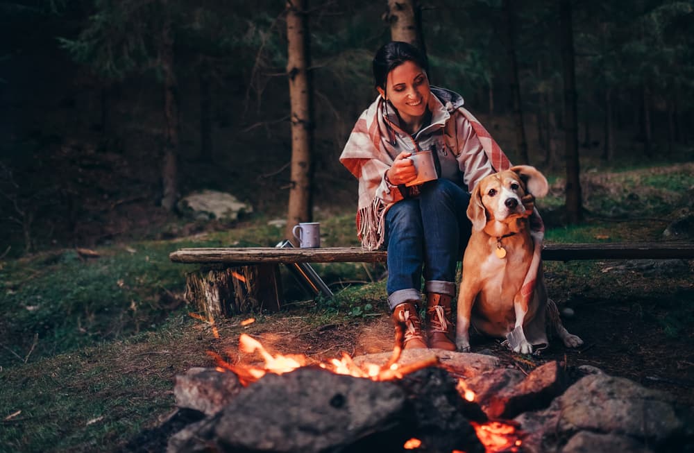 10 Tips For Camping With Dogs