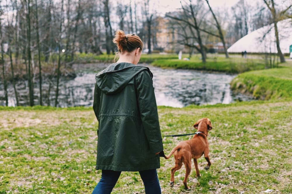 Woman and dog walking outside