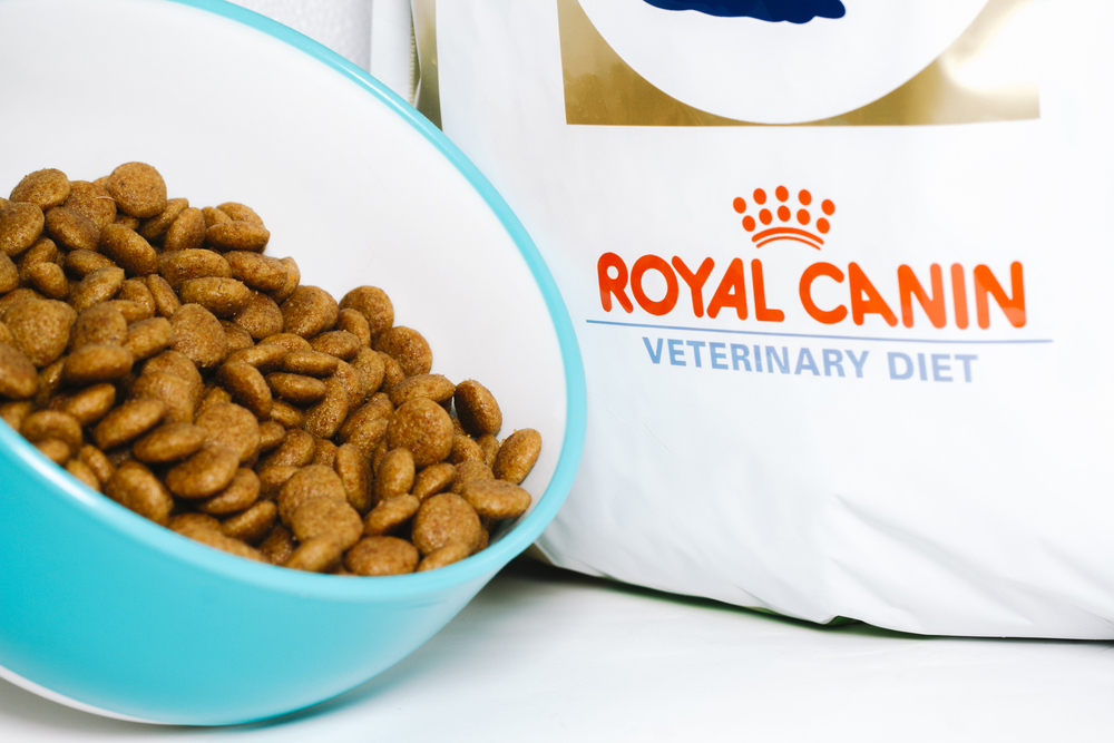 Royal Canin Dog Food Reviews: A Look at the Top Veterinarian-Authorized Formulas