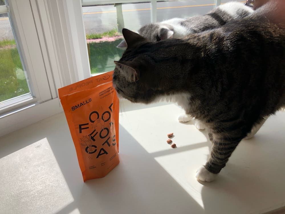 Sweet feline sniffs a bag of Smalls cat food 
