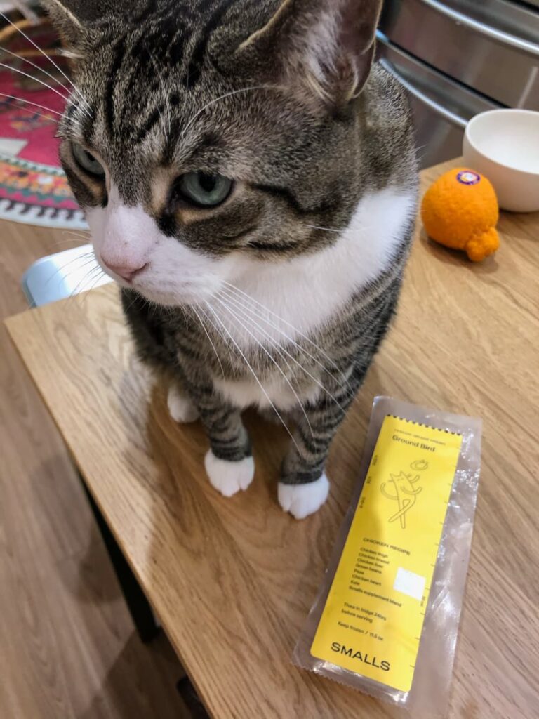 Cat with Smalls fresh food