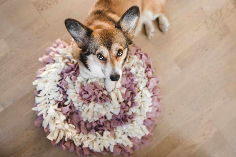 Snuffle Mat for Dog Washable,Unicorn Shape Sniffing Mat Pad for Dogs  Durable and Cute Sniffle Mats for Dogs for Dogs Stress Relief