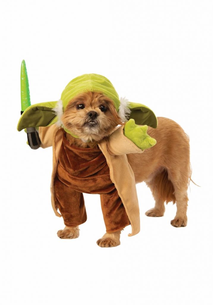 Yoda dog halloween costume