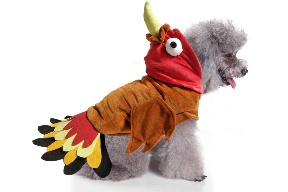 turkey costume for dog