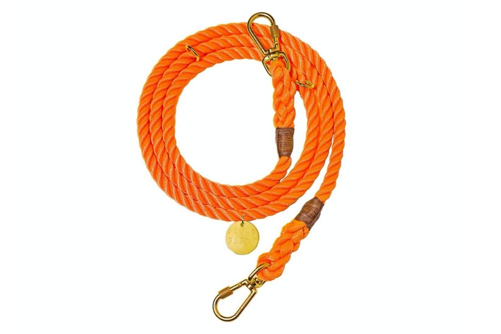 orange dog leash