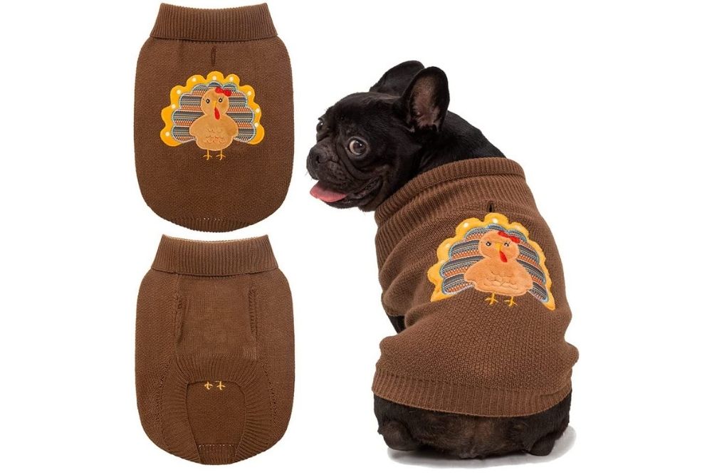 Thanksgiving dog sweater with turkey