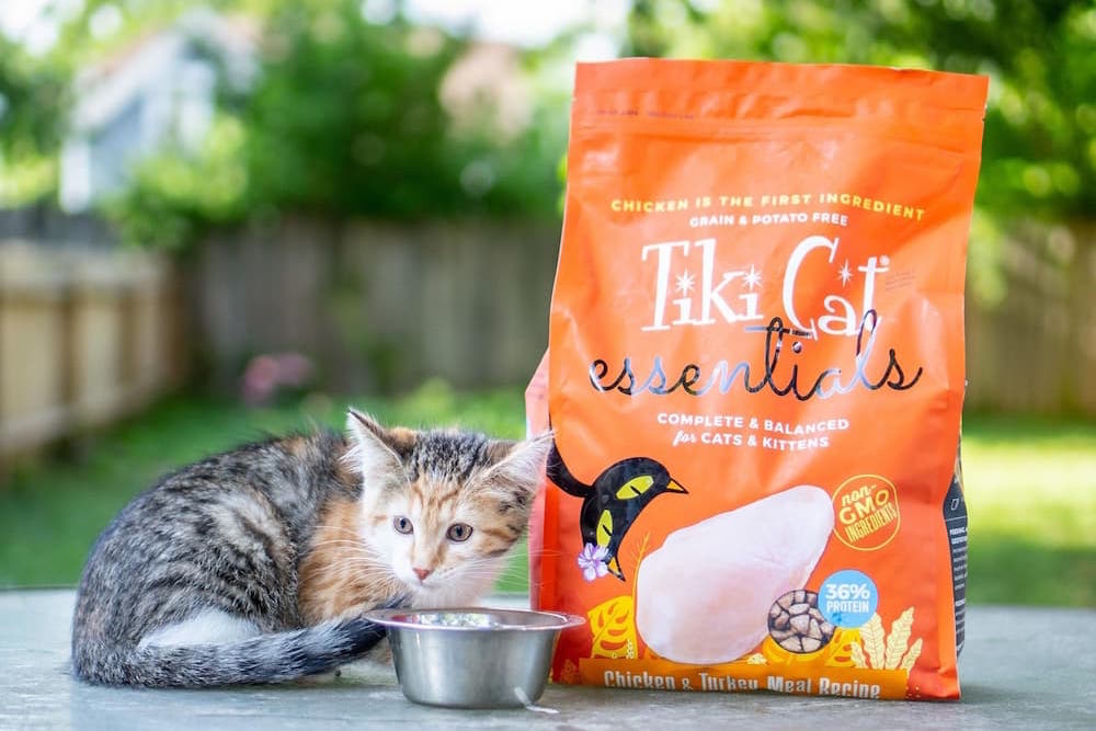 Tiki Cat Food Review: Natural Nutrition for Nature’s Pickiest Carnivores