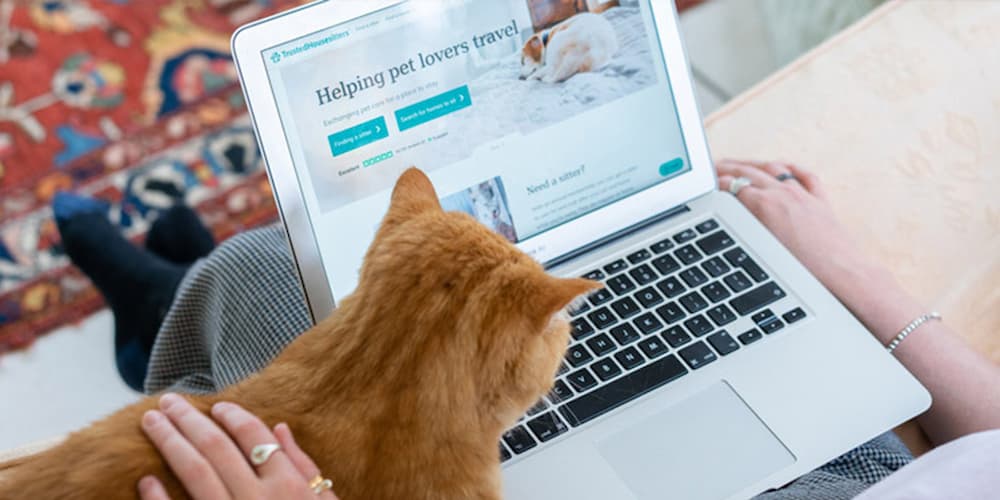 Cat looking at pet sitting website with pet parent