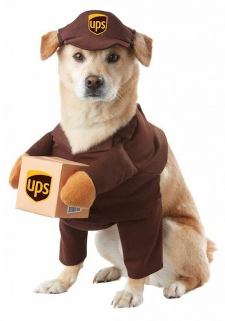 The Best Dog Halloween Costumes for All Kinds of Pups, from Big to Small