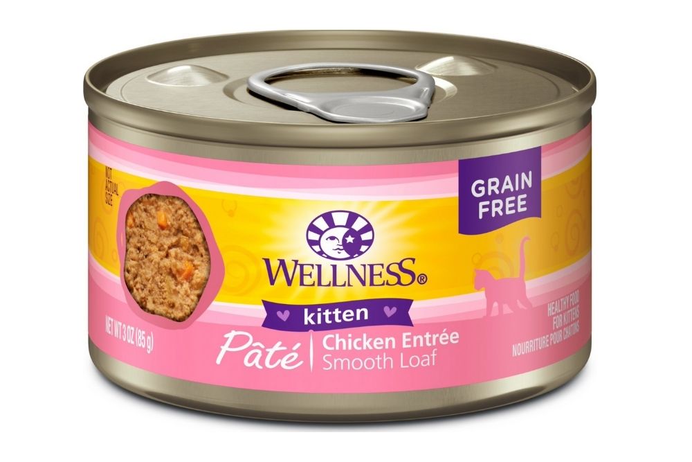 Wellness kitten pate cat food