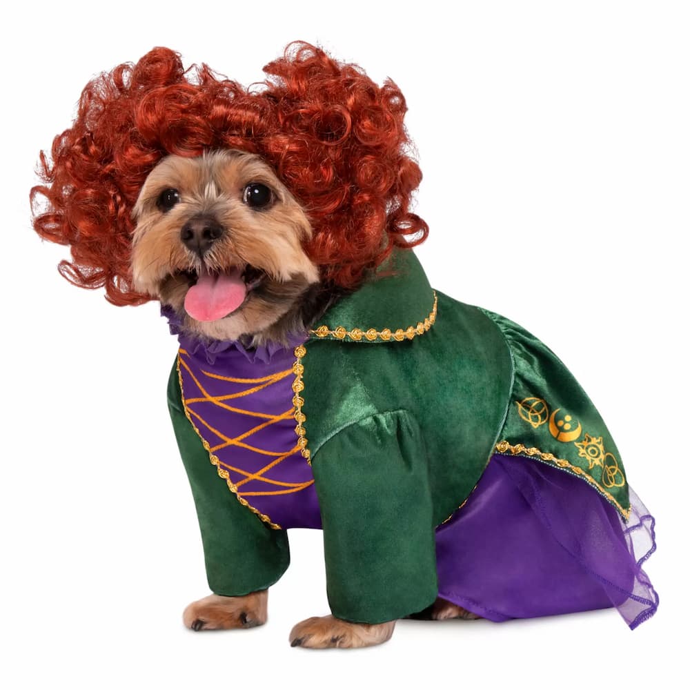 Winifred Sanderson dog costume