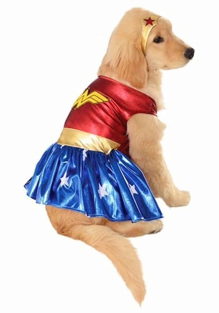 30 Pet Costumes That Made Halloween Spooktakular