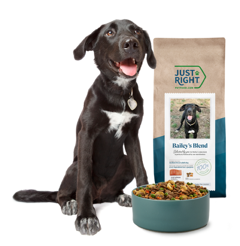 Best Dry Dog Food  2023 Dog Food Review