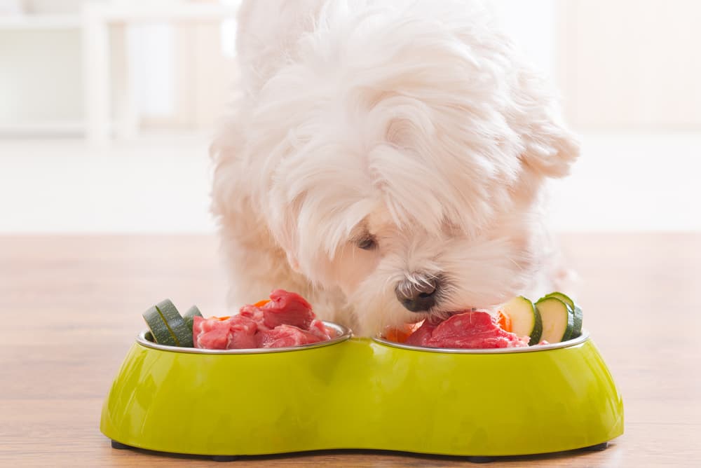 7 Best Raw Dog Food Formulas of 2024