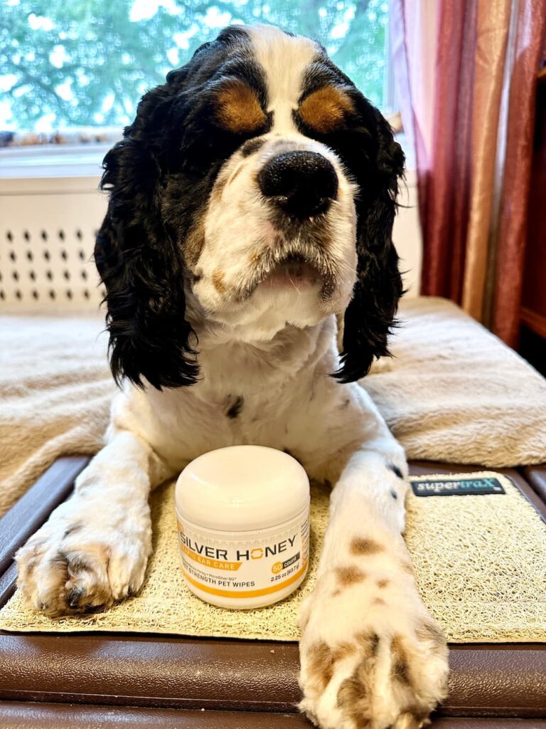 The writer's dog Alvin poses with a container of Silver Honey Rapid Ear Care Wipes