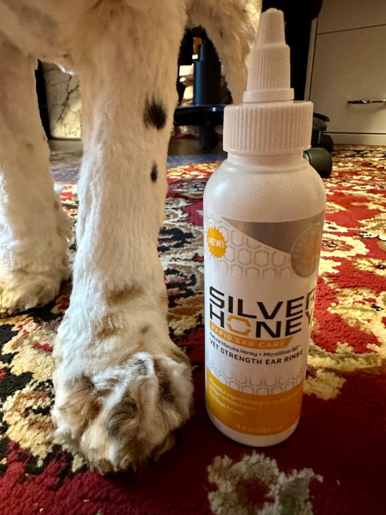 The writer's dog Alvin poses with a bottle of Silver Honey Rapid Ear Care Rinse