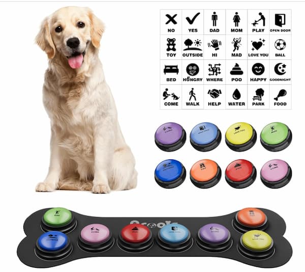 9 Best Dog Talking Buttons