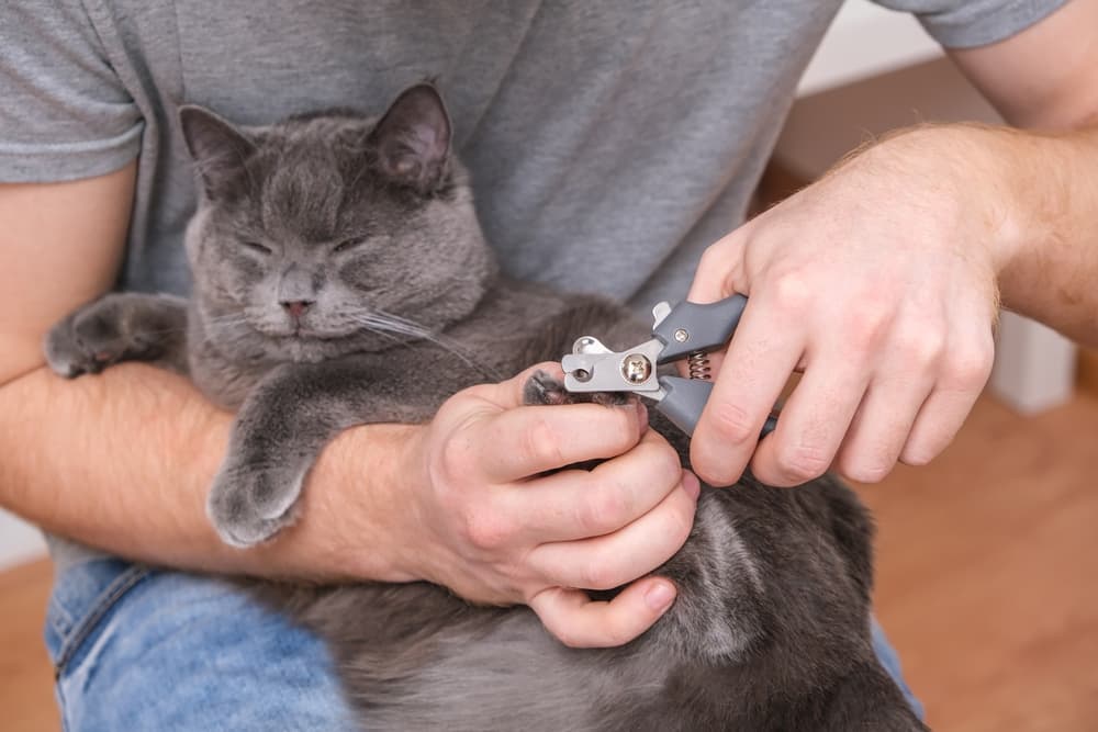 Well & Good Cat Nail Clippers