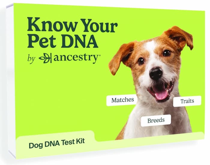  Embark Breed & Health Kit - Dog DNA Test - Discover Breed,  Ancestry, Relative Finder, Genetic Health, Traits, COI : Pet Supplies