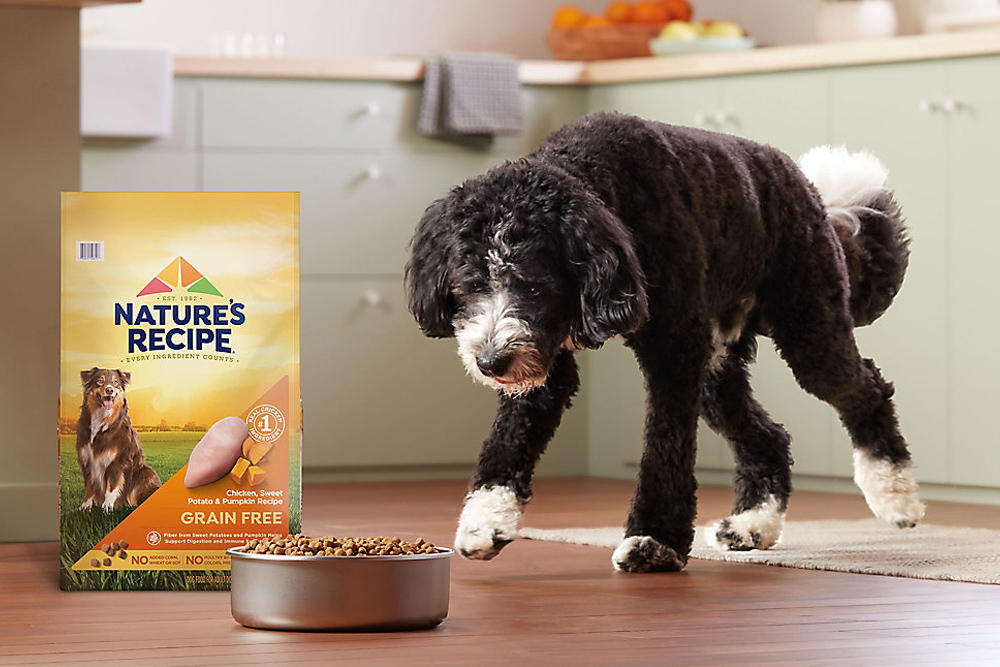 Nature's Recipe Dog Food 