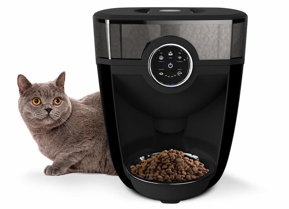 Whiskers feeder-robot photo with cat and food in the tray
