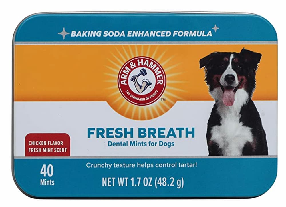 Arm & Hammer for Pets Dental Mints for Dogs