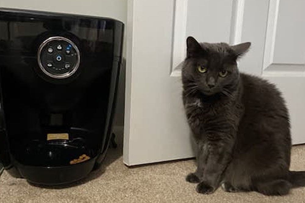 Rover Pet Parents Review the Hamilton Beach Digital Dehydrator